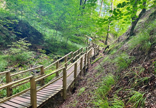 24-07-02 14-06-32 0124